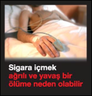 Turkey 2009 Health Effects death - lived experience